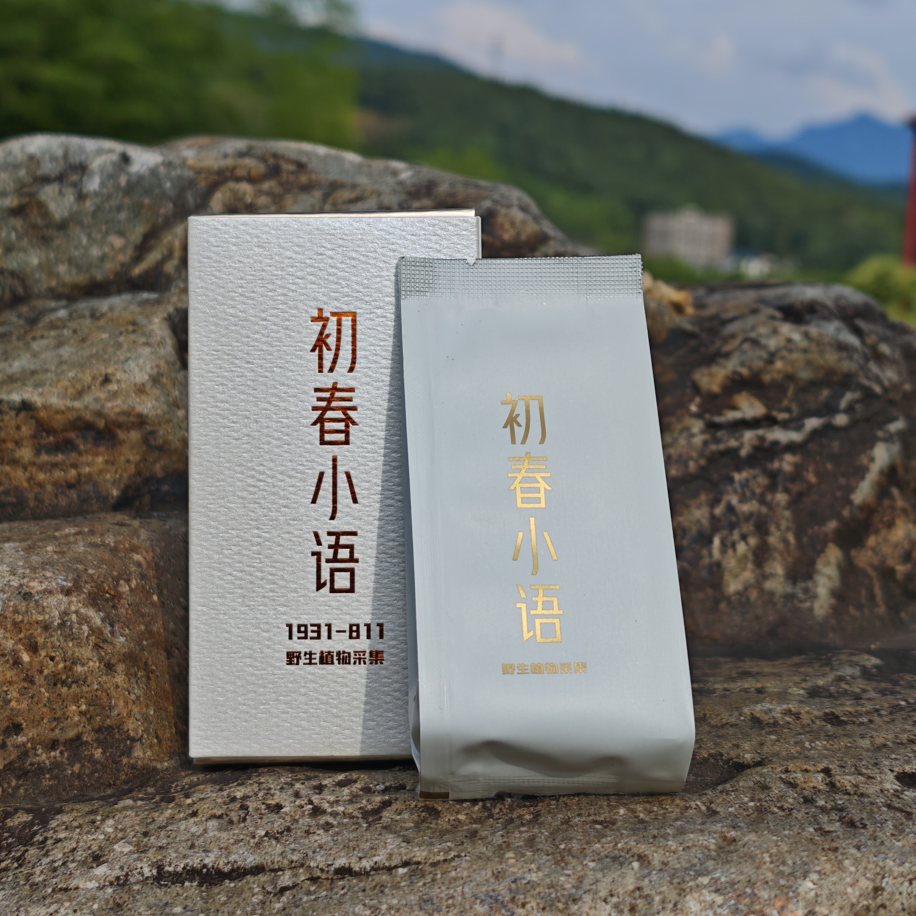 龍嘘2019年初春小语特级贡眉10g