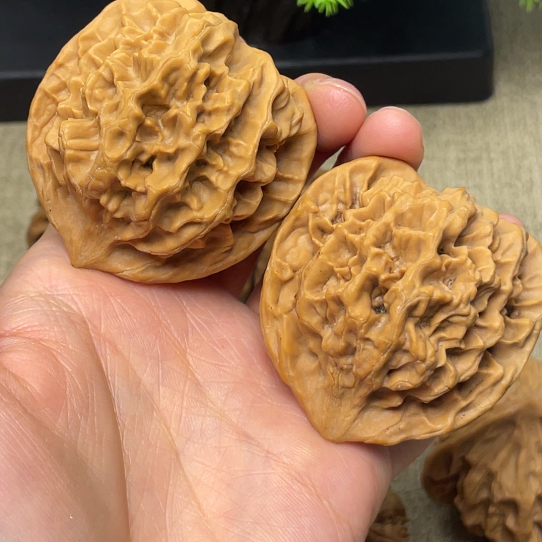 用***1把件文玩核桃秦岭核桃31号（水尖）