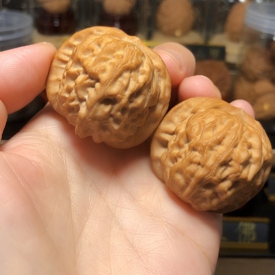 精品野生：石门元宝