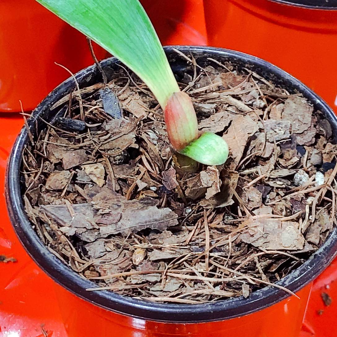 雨***軒完全开放健健康康快快乐乐