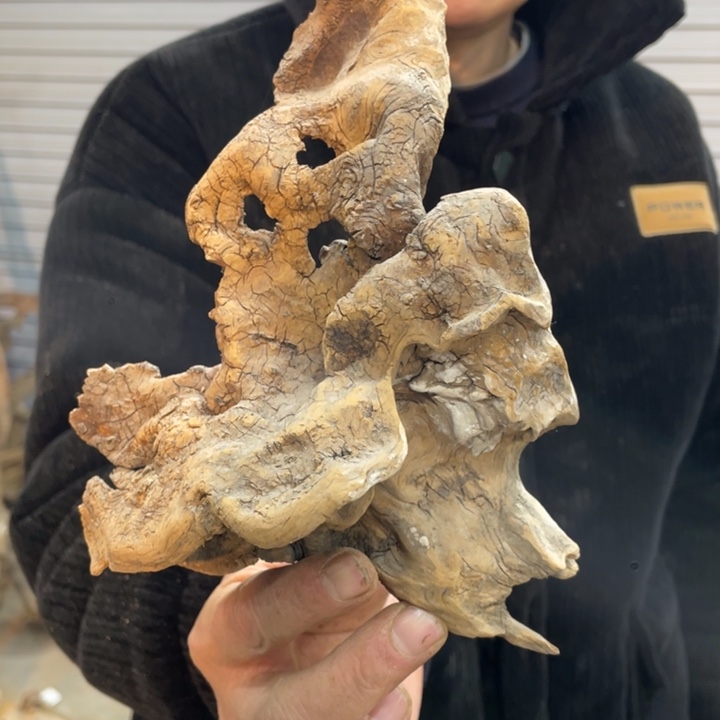 亿*我们都是好孩子呀