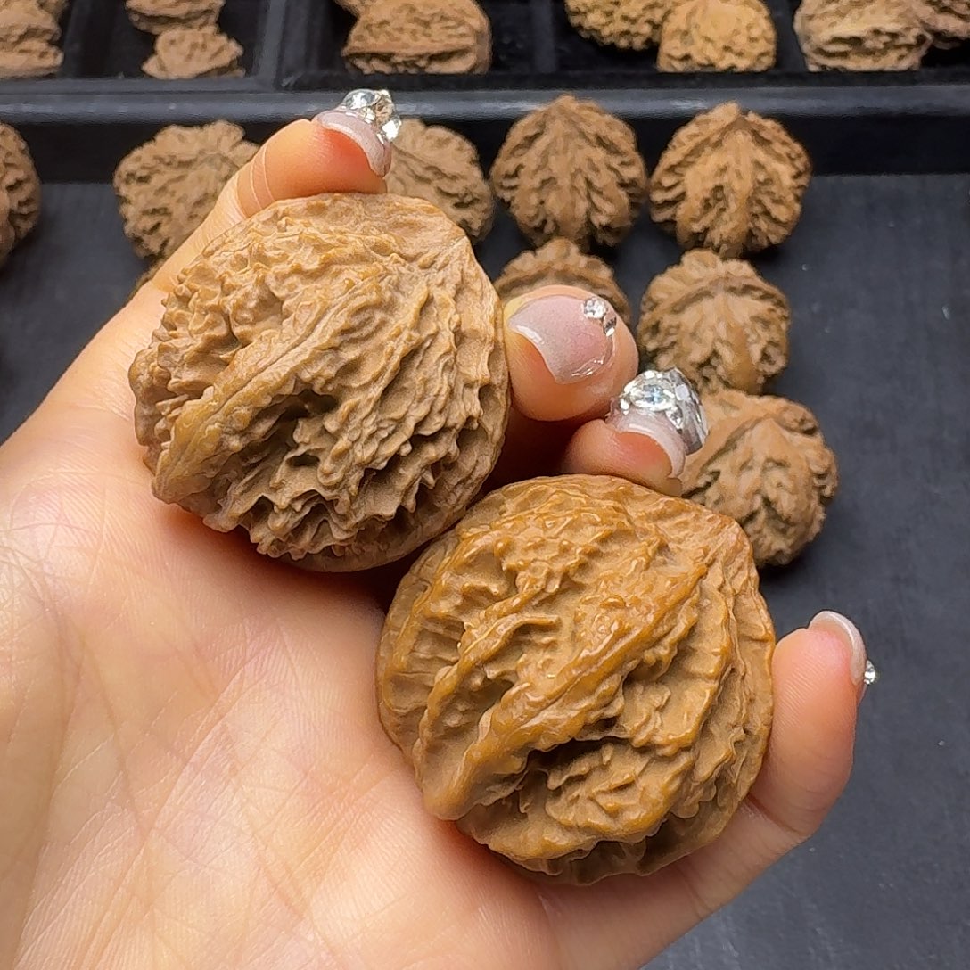 桃木突突突突突突突