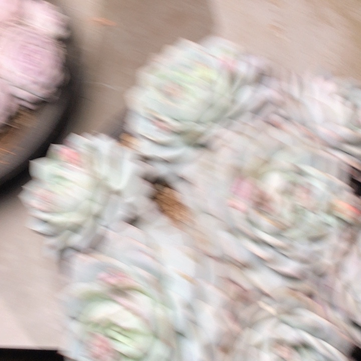 L**.139/////////////////