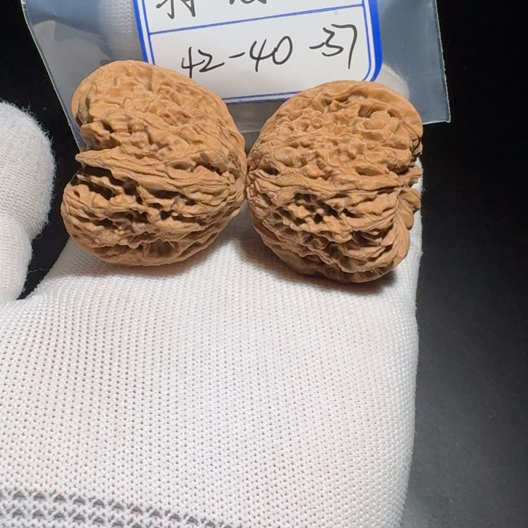 文玩核桃把件9号村将有黄