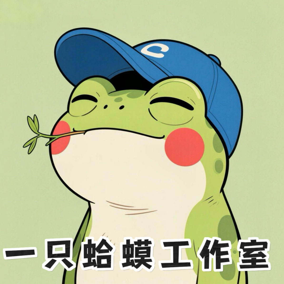 188山地蛤蟆头南疆石专用链接