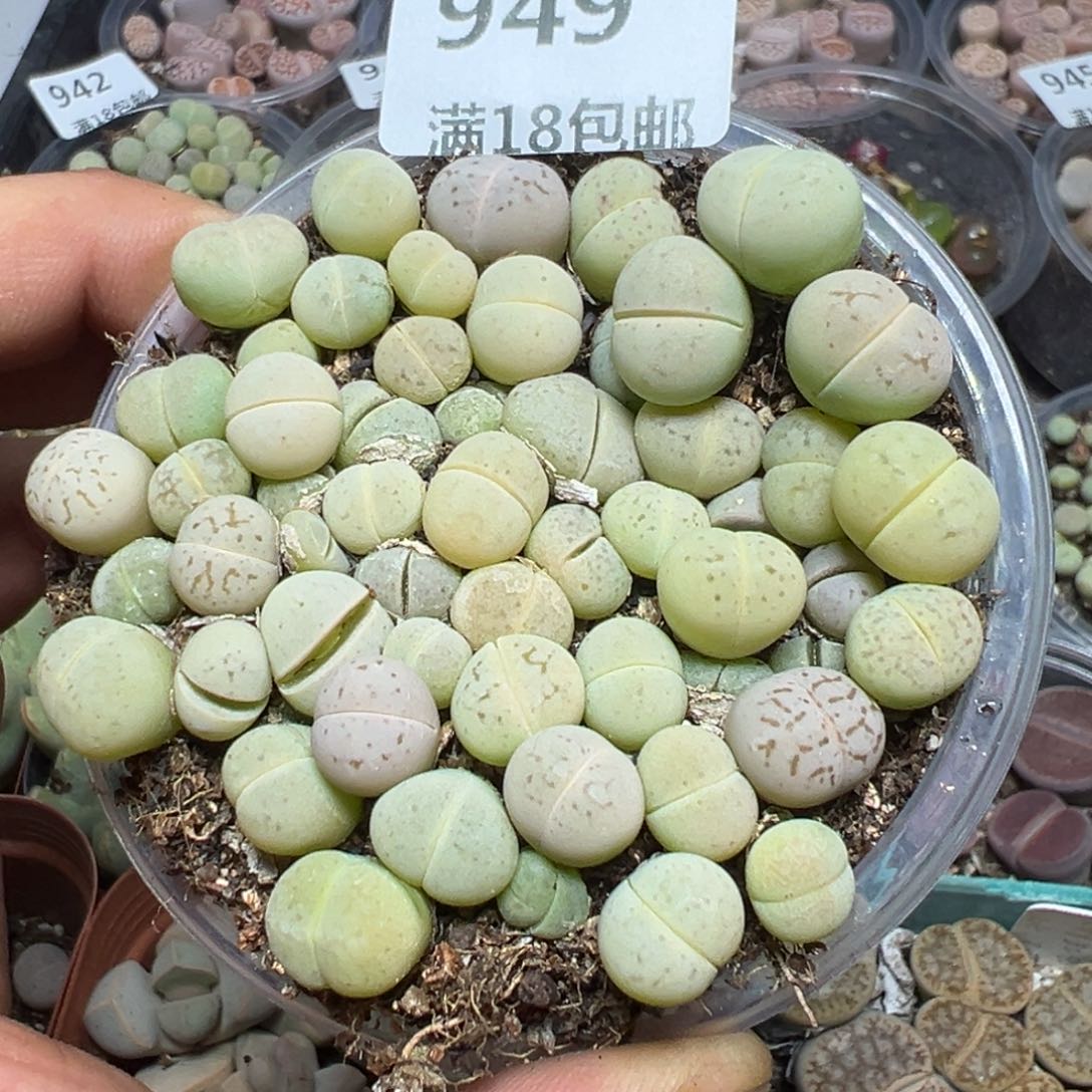 【闪购商品】 949。     