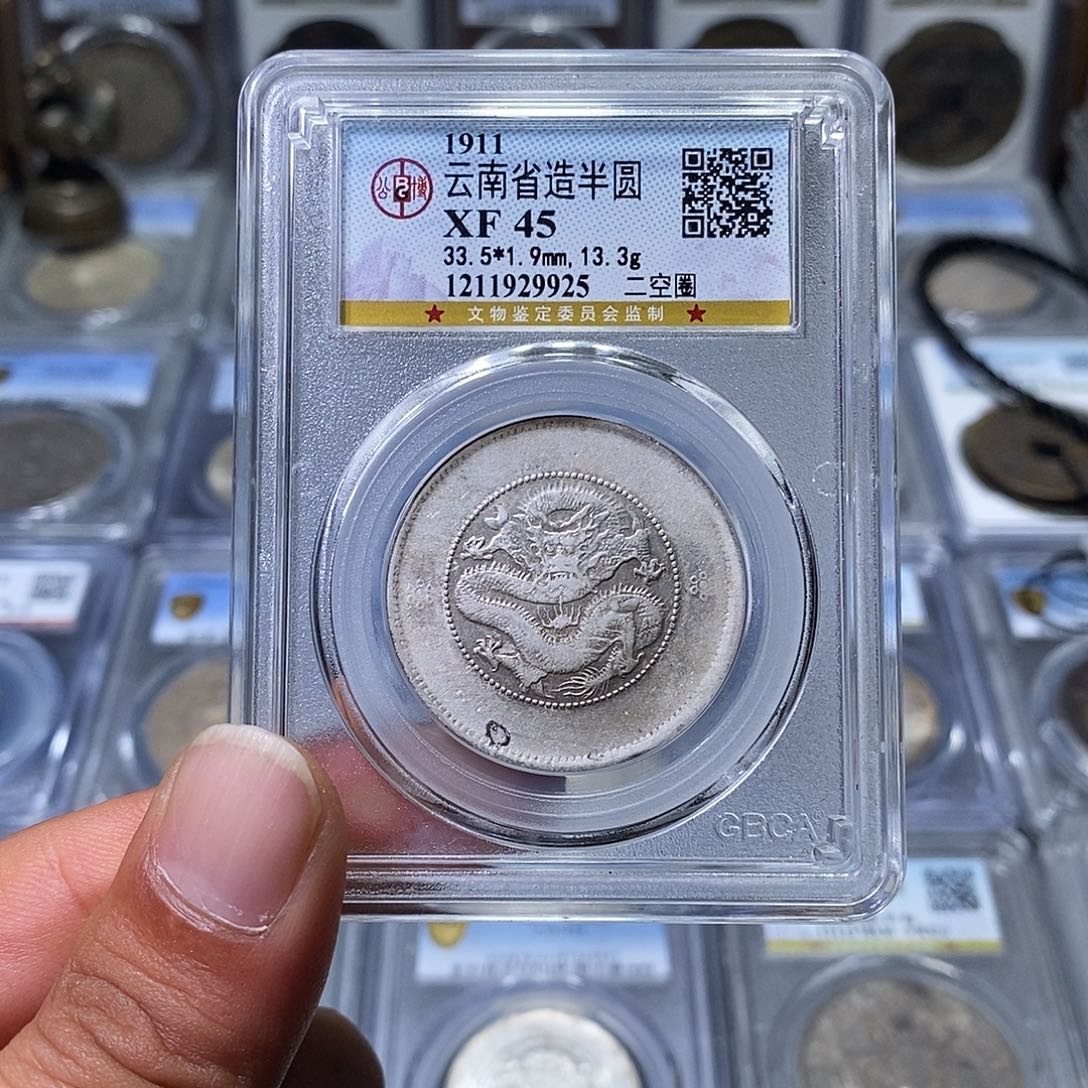 银苏皖古泉 云南半圆龙 编码9925