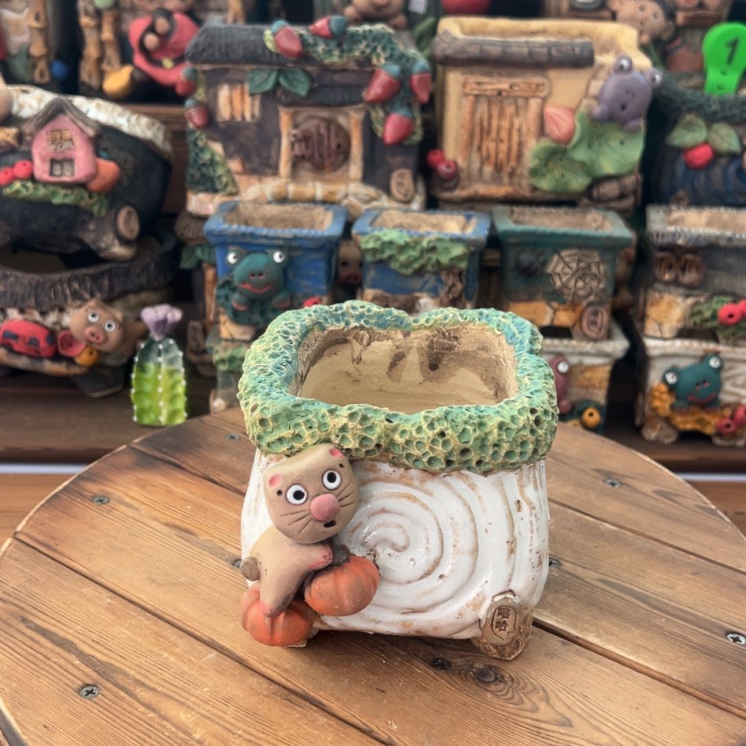 红陶嘻哈多肉花盆