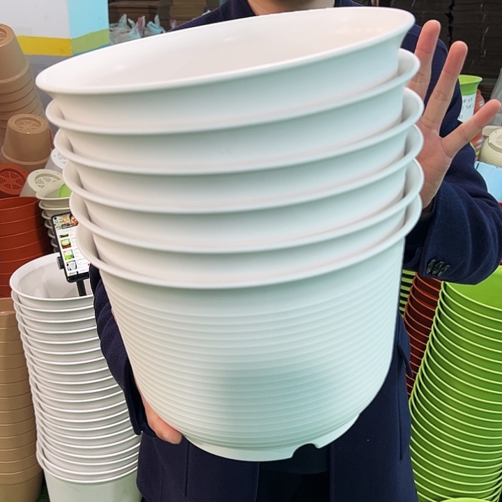 正品矮陶口27高18.5白色无托6个