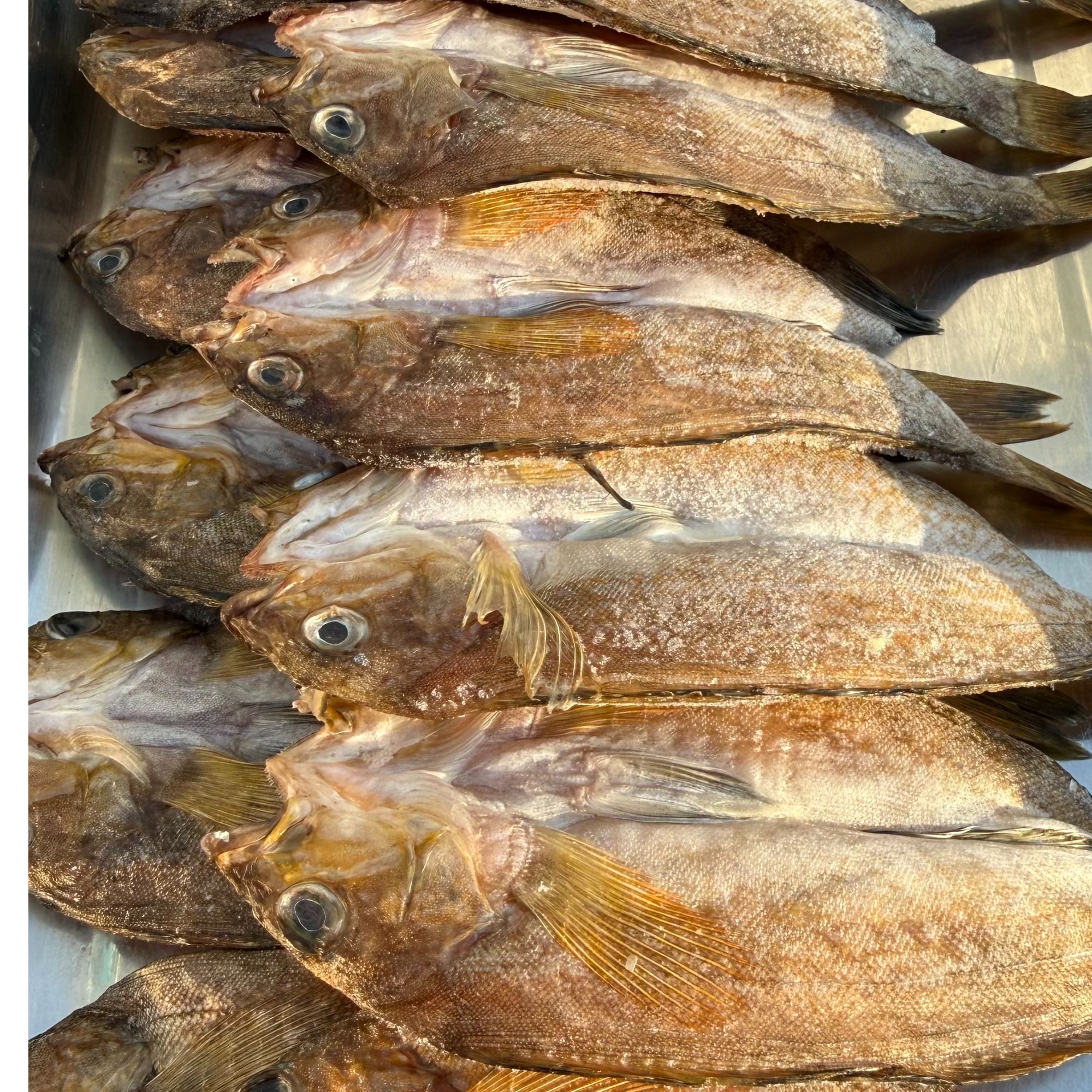 大连长海县野生海捕小黄鱼干深海天然肉质鲜美