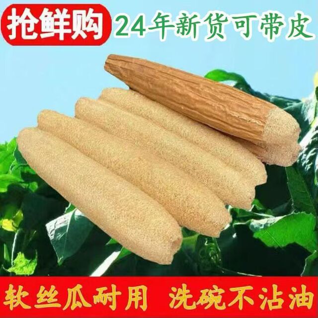 天然带皮老丝瓜瓤子泡水洗碗布大丝瓜囊刷锅丝瓜烙清洁抹布丝瓜壳