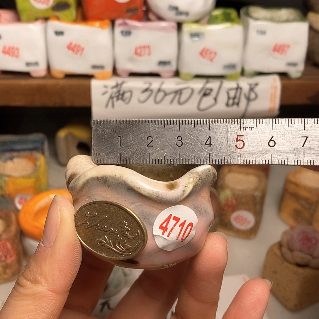 红陶拍5送一个小