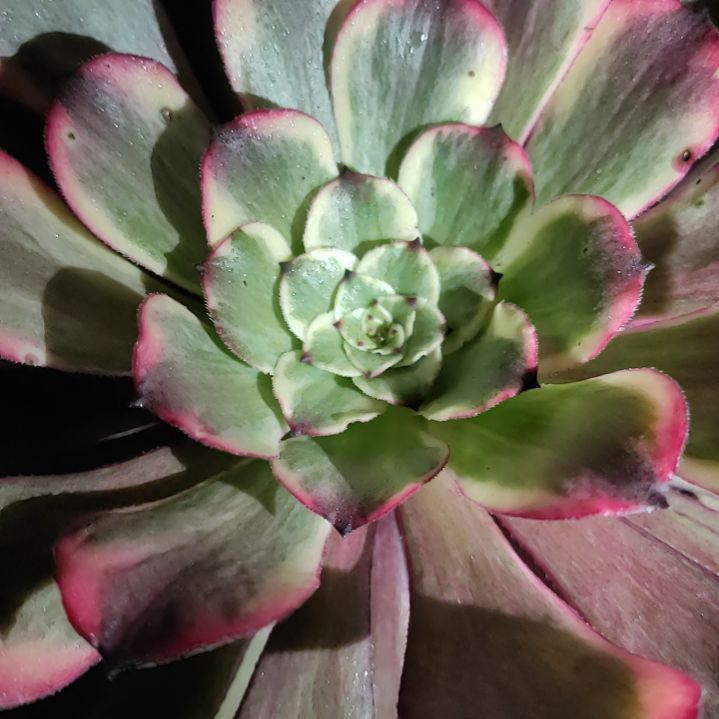 墨***白法师锦19好好看啊啊啊