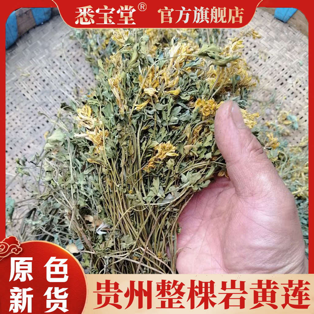 【专属链接】新货正品岩黄连 胡岩连 土黄连自然晒干100g泡水