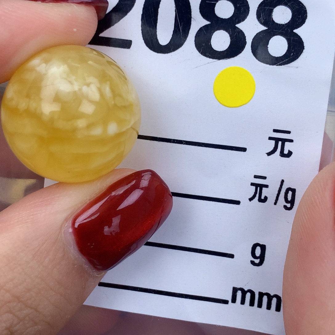 未镶嵌琥珀珠宝奇石18.7植物
