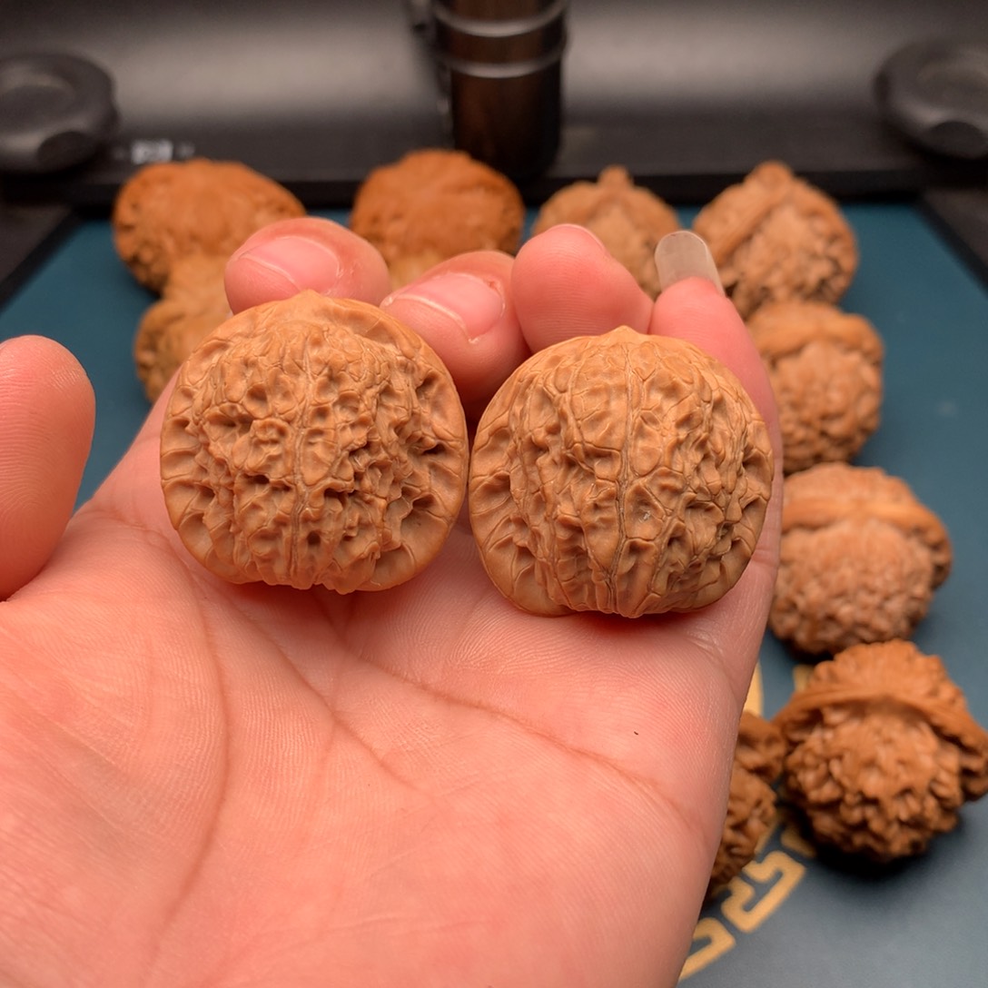 文玩核桃把件保**长36血麒麟288