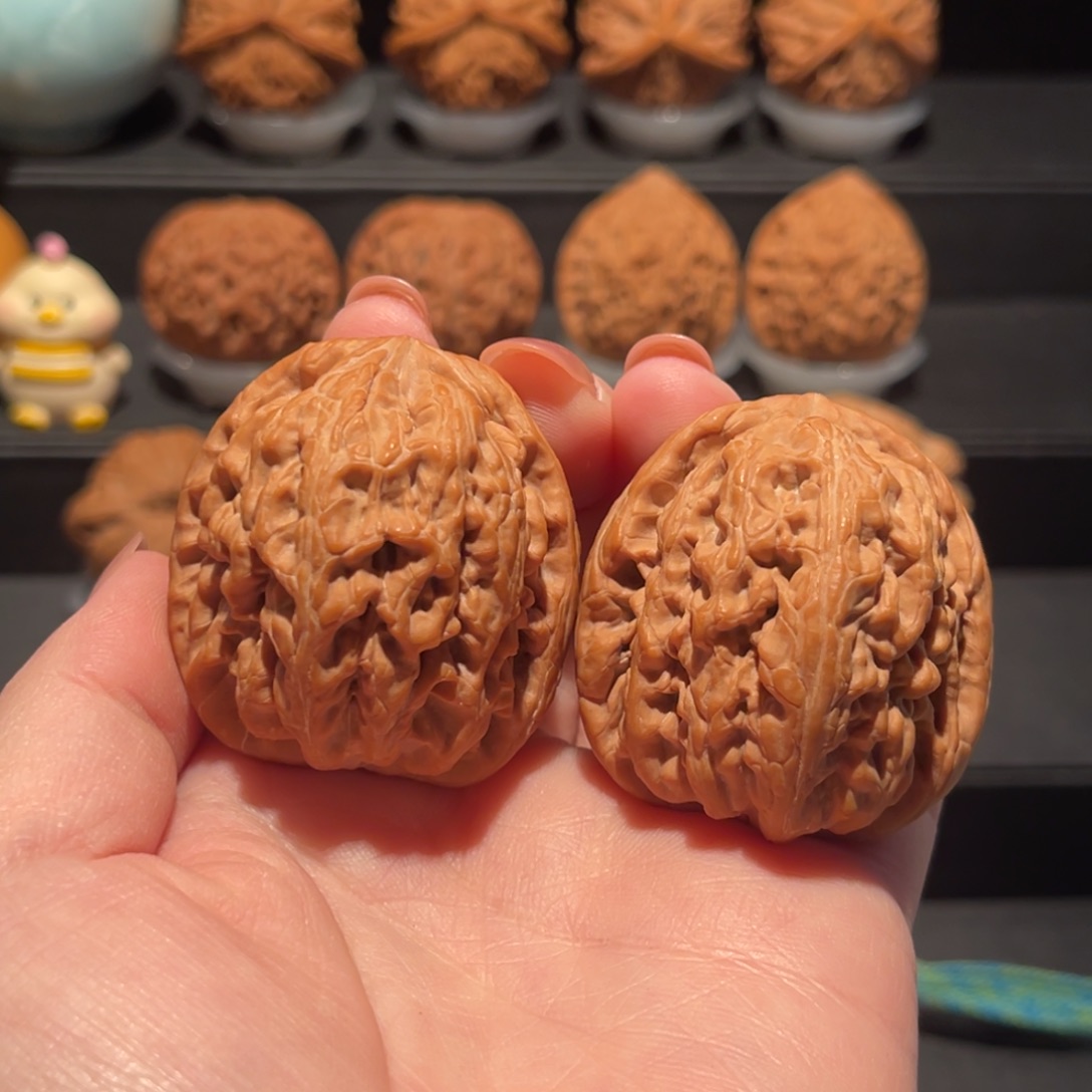 火***焱红锦鲤41精品，全品544