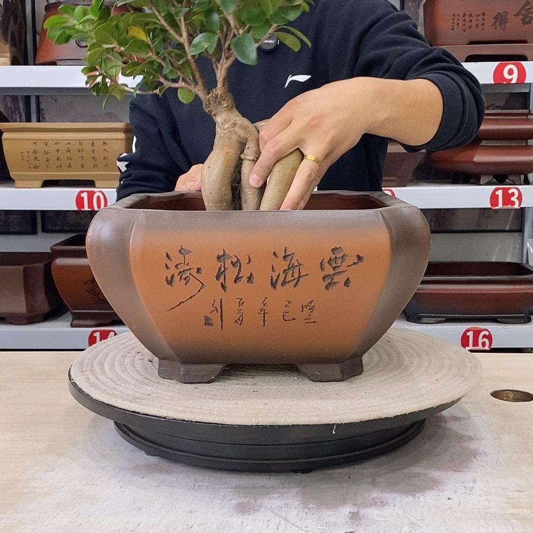 紫砂花盆紫砂花盆