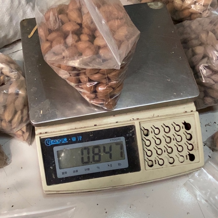 吊坠橄榄核愁**士