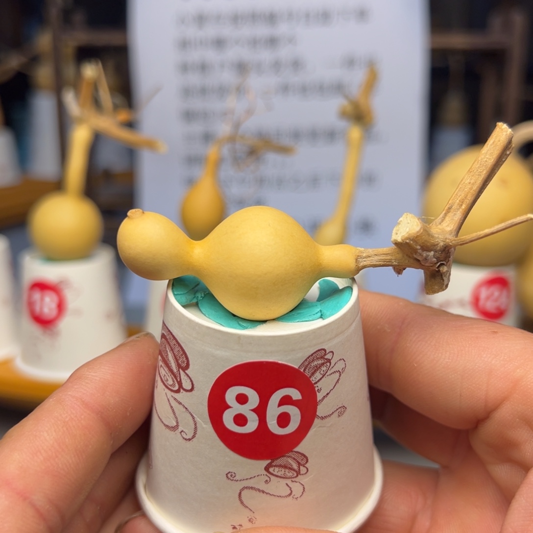 闪电购自助下单编号86