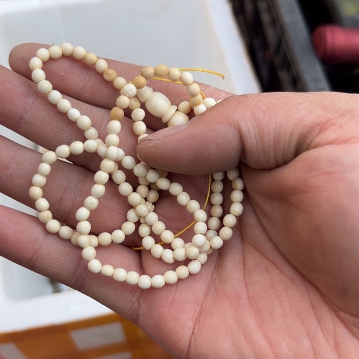 心***宿杂色豆（科檀/科特迪瓦檀木）