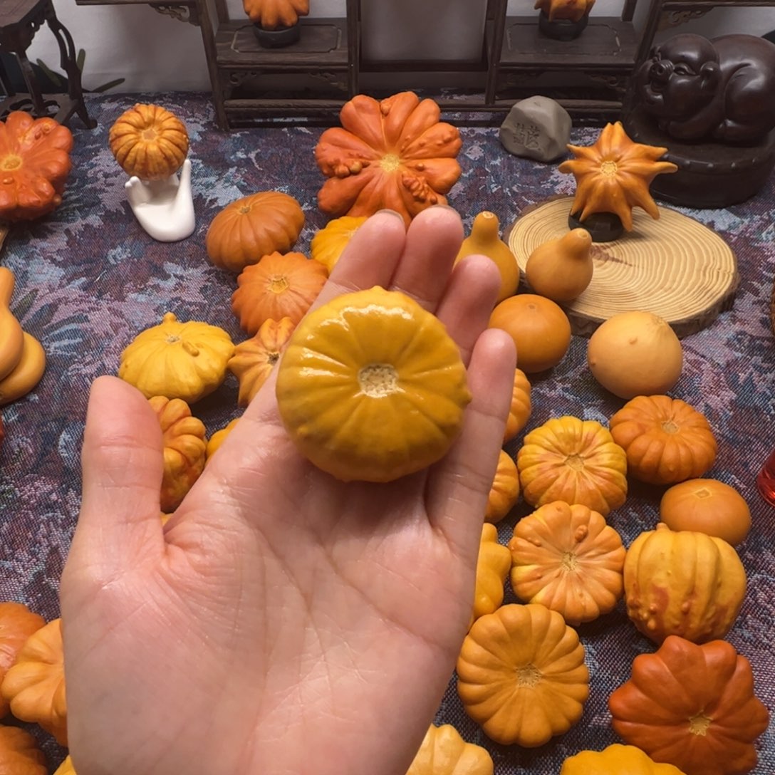 墨西哥葫芦小饭团