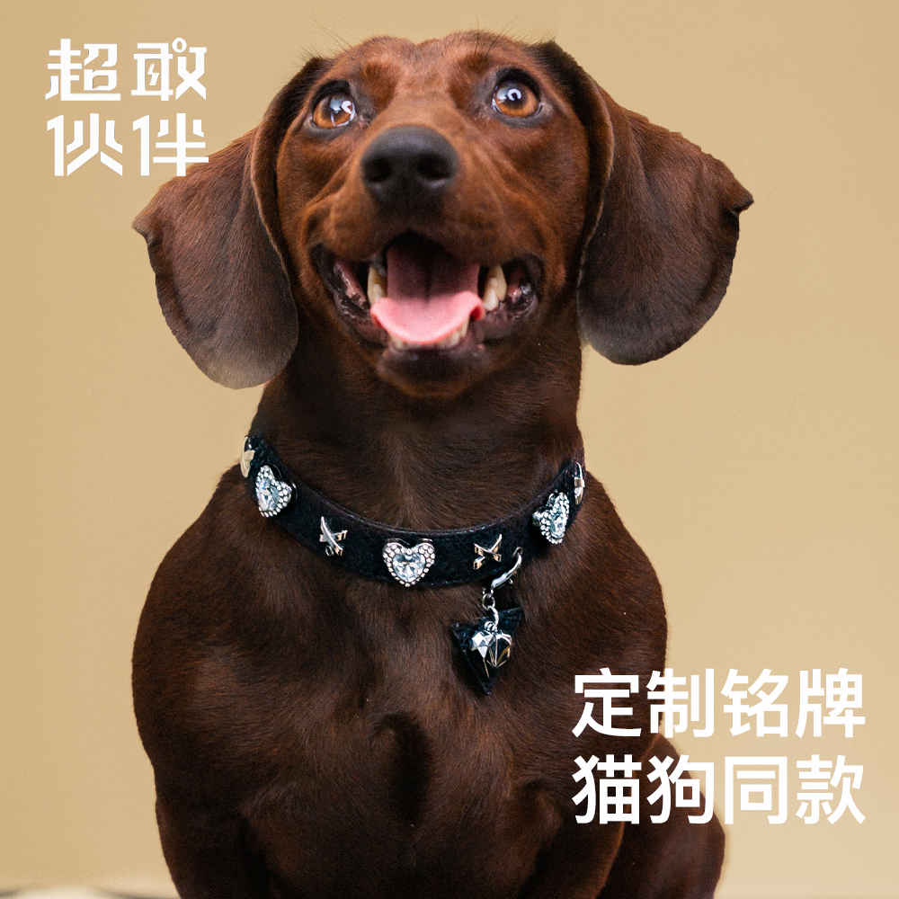【超敢伙伴】辉银黑蛇设计款猫狗同款宠物项圈爱心三角形可宠物服饰