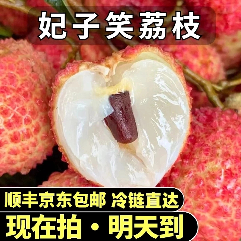 【今天拍 明天到】广东湛江妃子笑荔枝5斤装酸甜可口18g-25g大果顺丰京东冷链包邮广东省