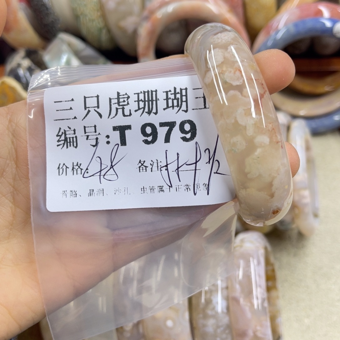 L***在硅化珊瑚（珊瑚玉）未镶嵌h