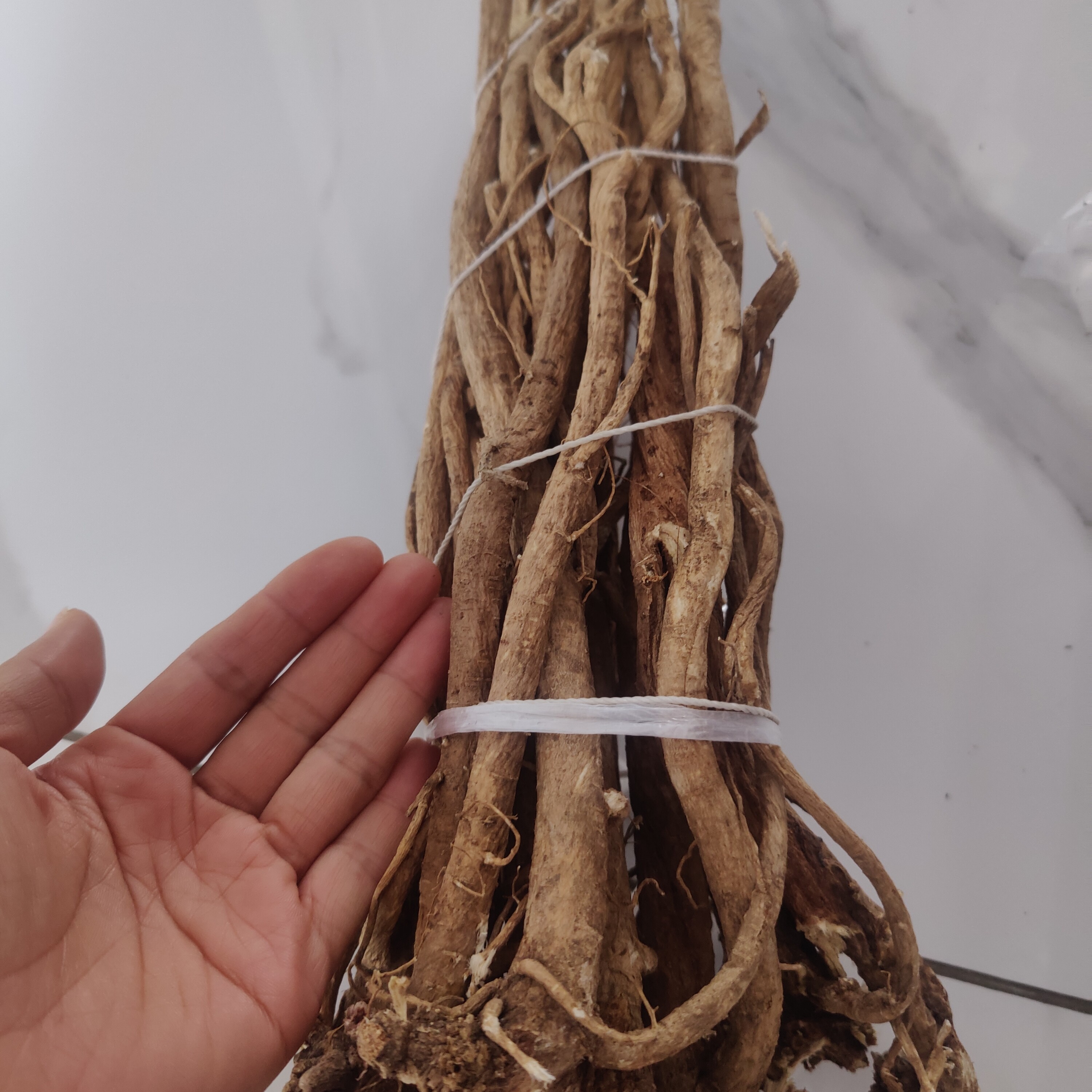 东北野生黄芪可用于泡水煮水煲汤