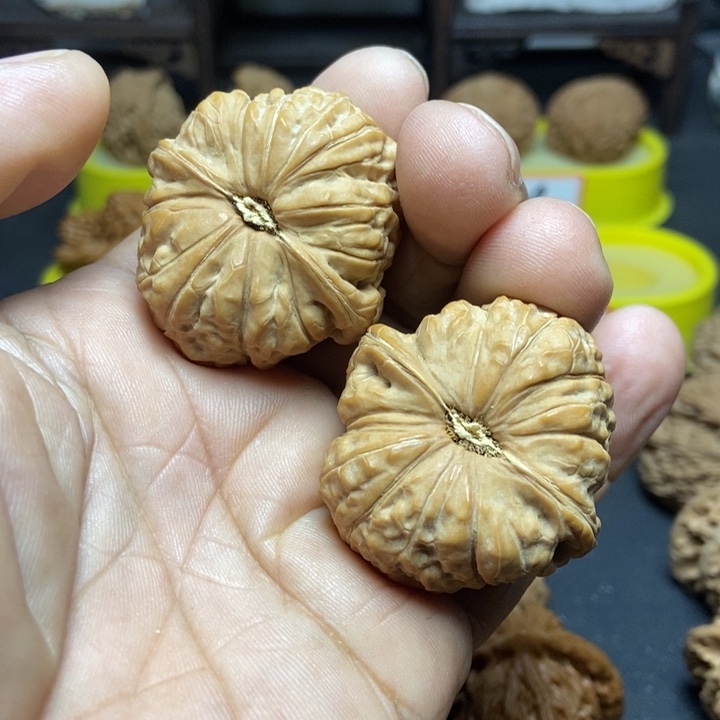 核桃S**Z南瓜墩儿55555