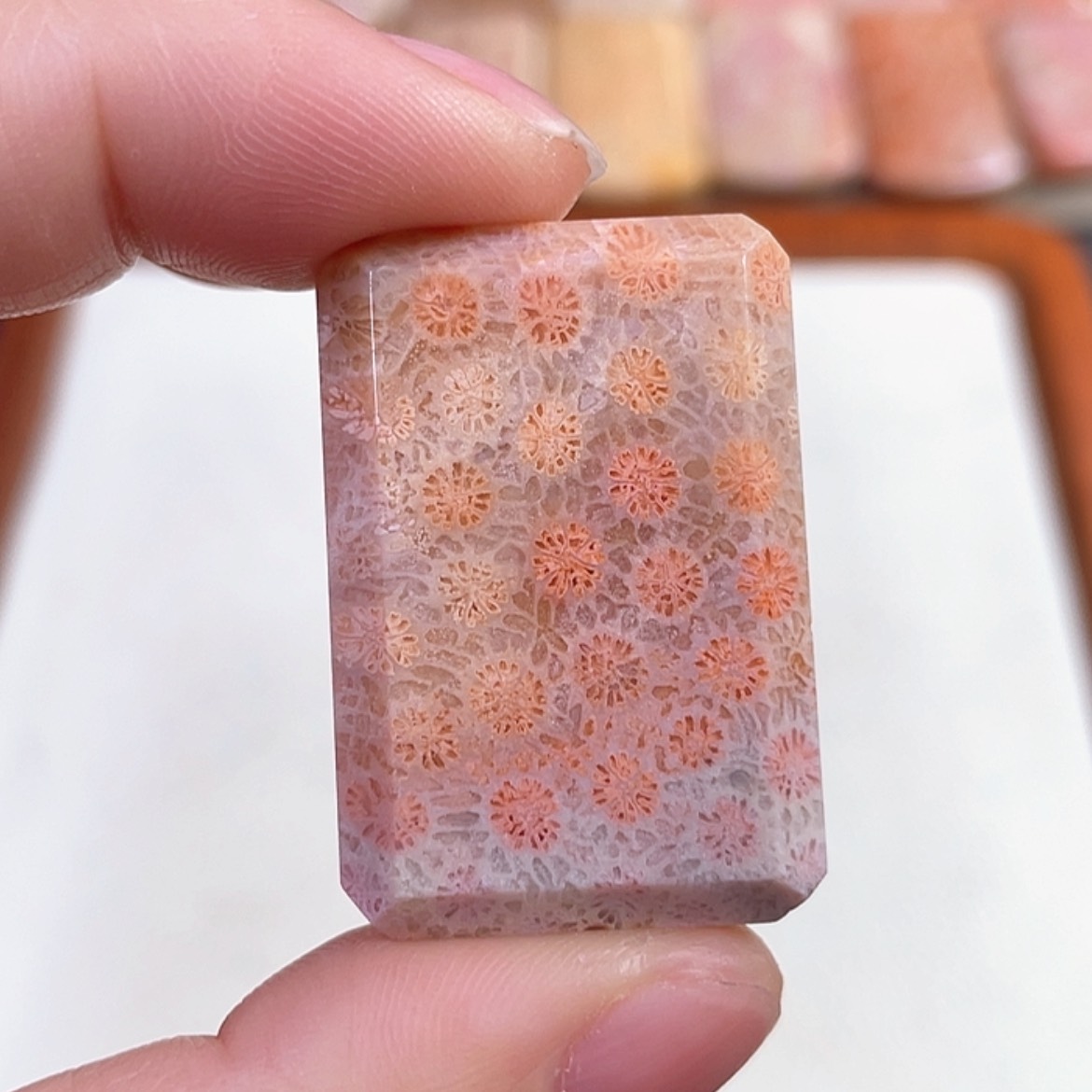 【闪购商品】硅化玉手链未镶嵌