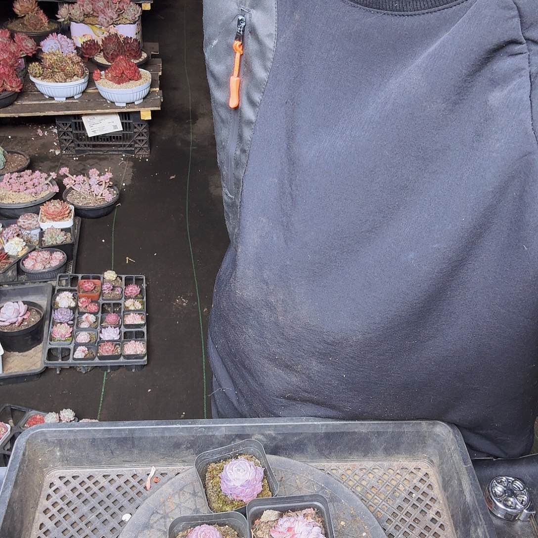 白***～005三个小精品一物一拍