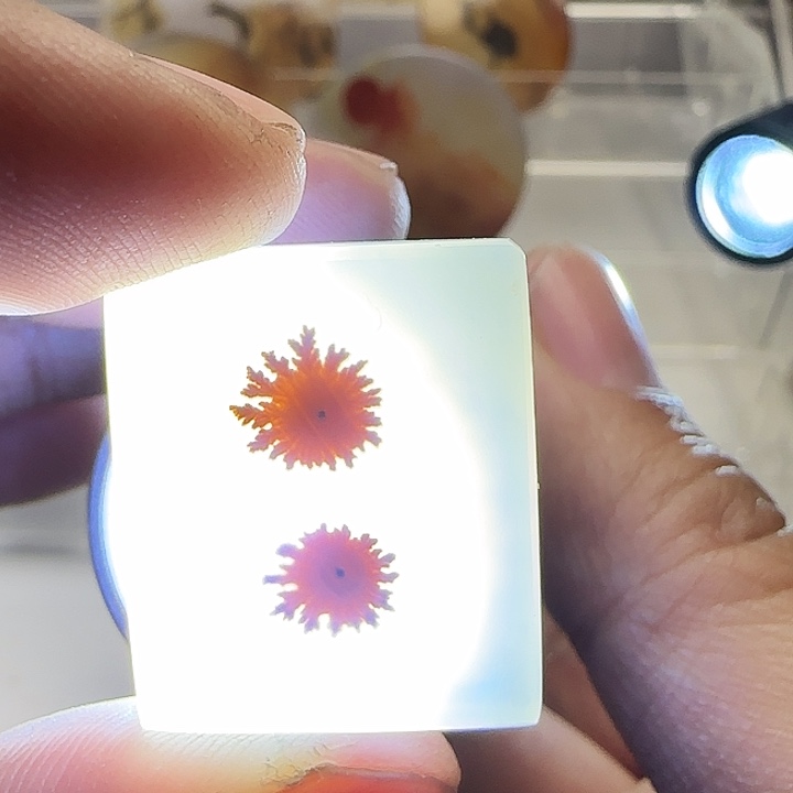 玛瑙/玉髓未镶嵌珠宝奇石