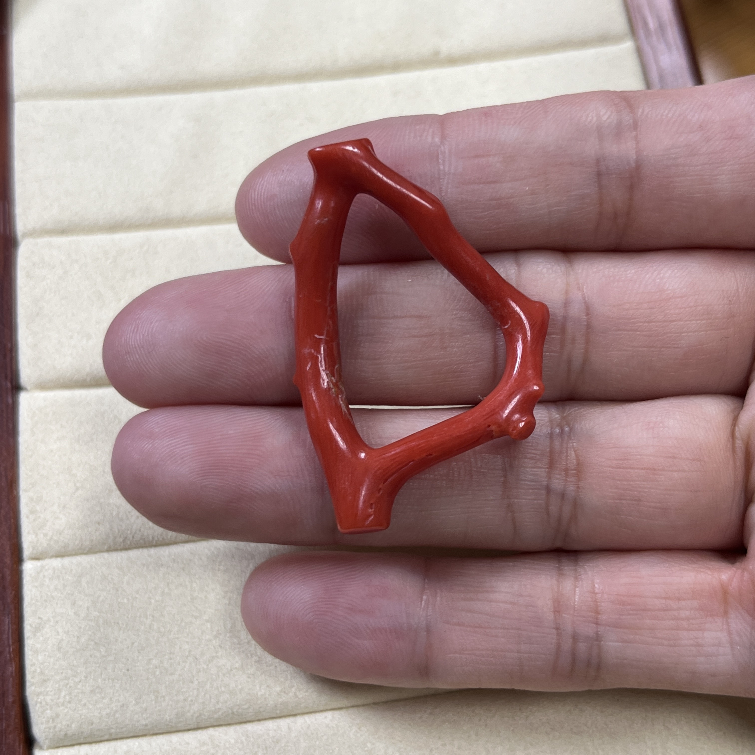 特价清货不退换 沙丁珊瑚闭合圈圈配饰挂件【国检证书】