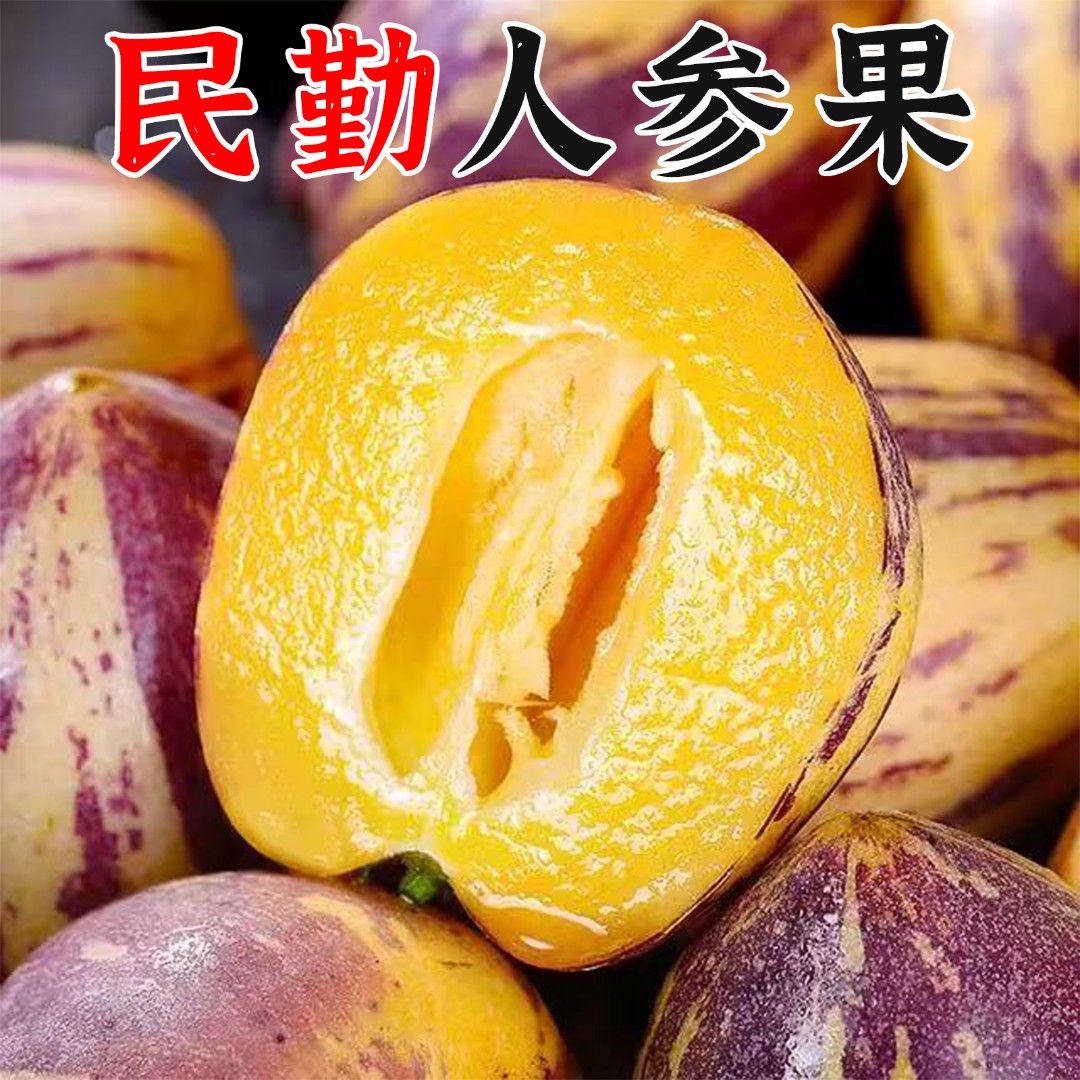 【低糖水果】甘肃民勤人参果带箱5斤 单果150-400g应季水果整箱包邮