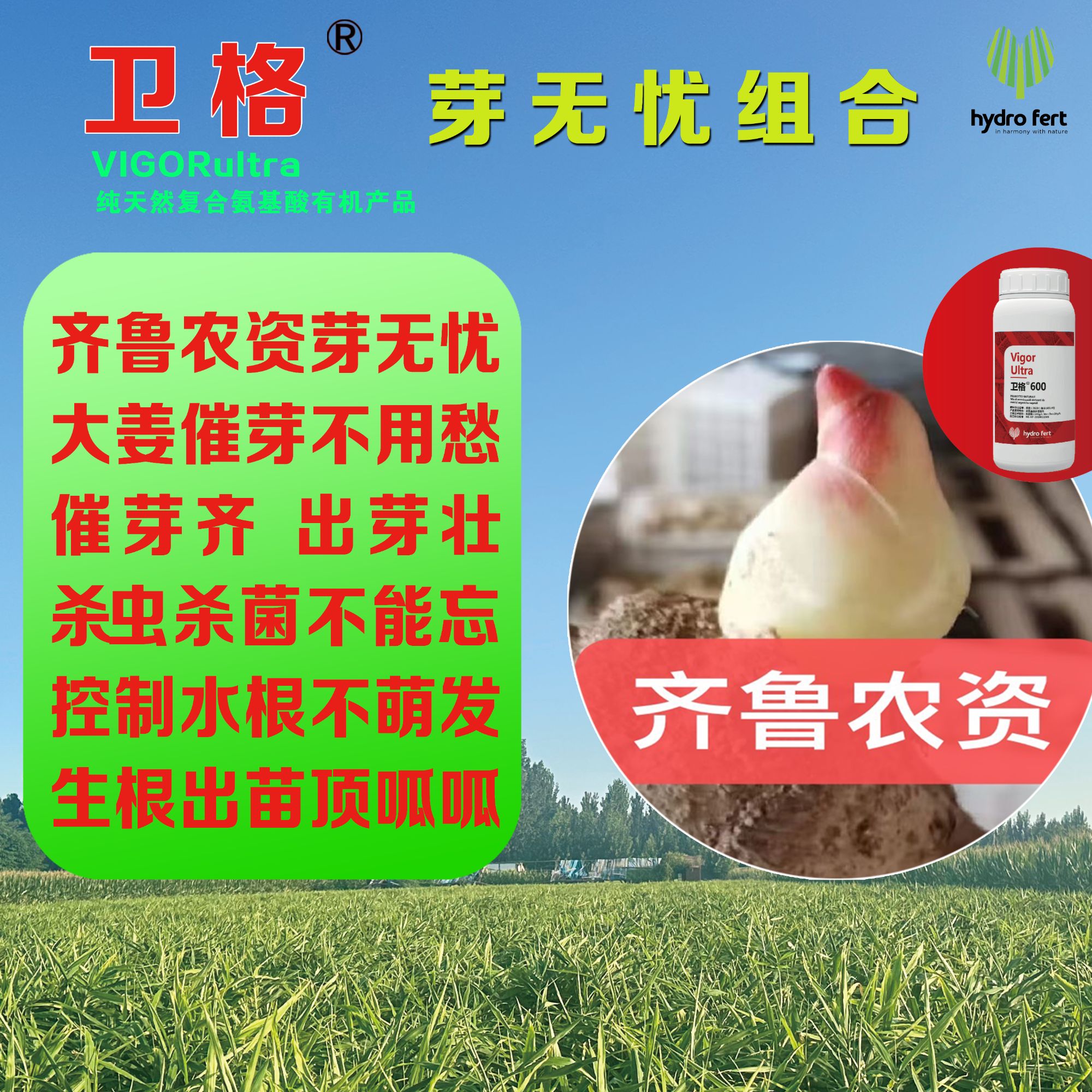 齐鲁农资催芽组合