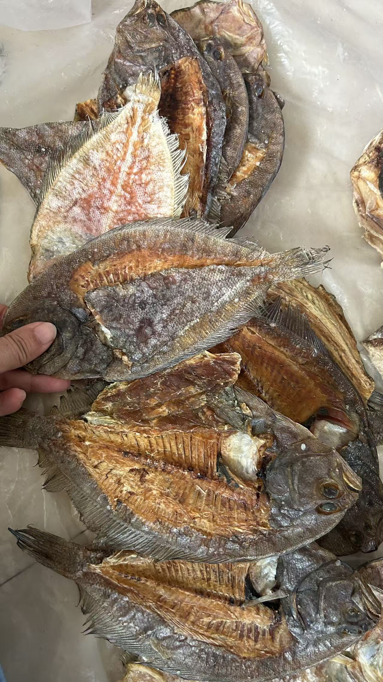 北部湾北海船晒地宝鱼干