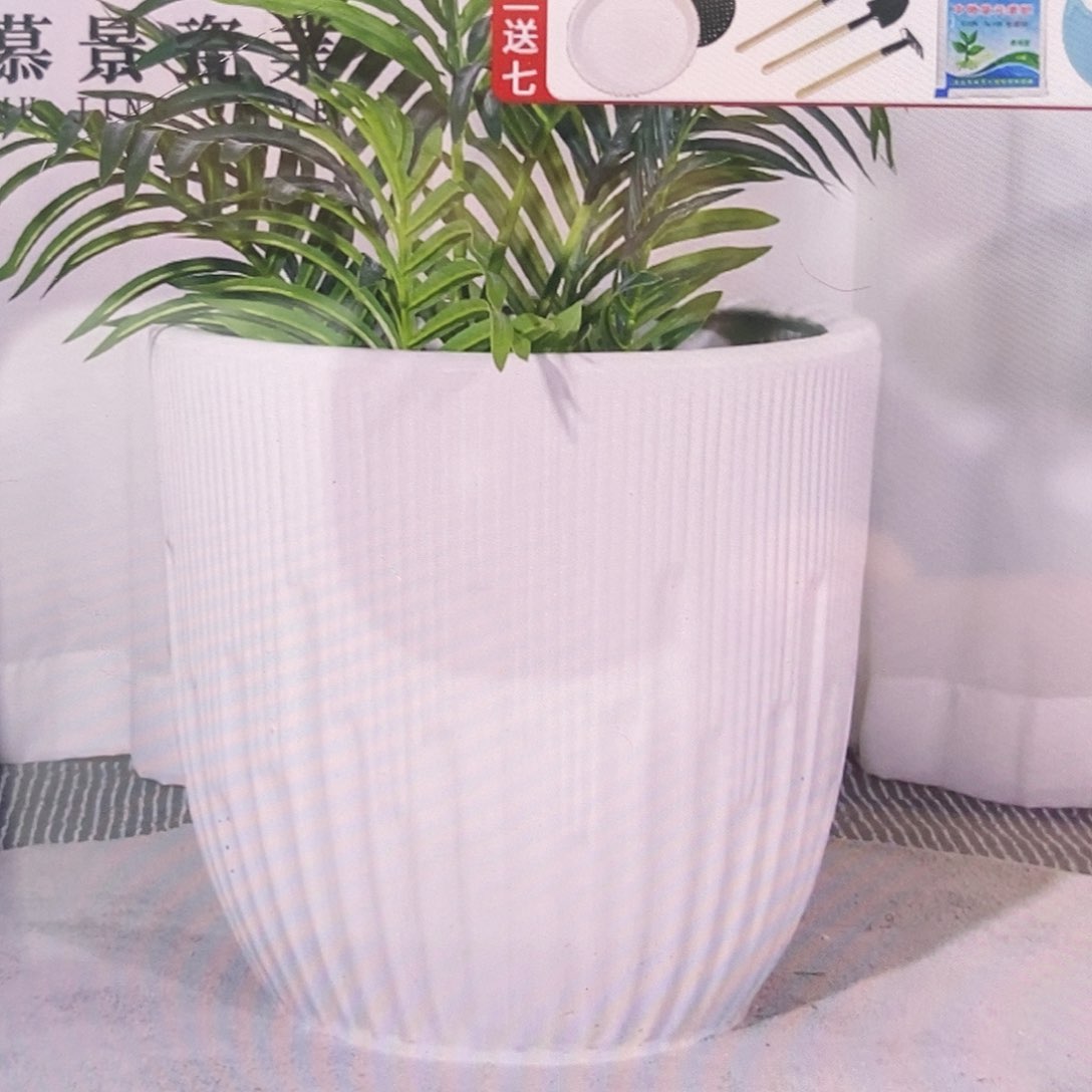 钢琴白低腰款特大号