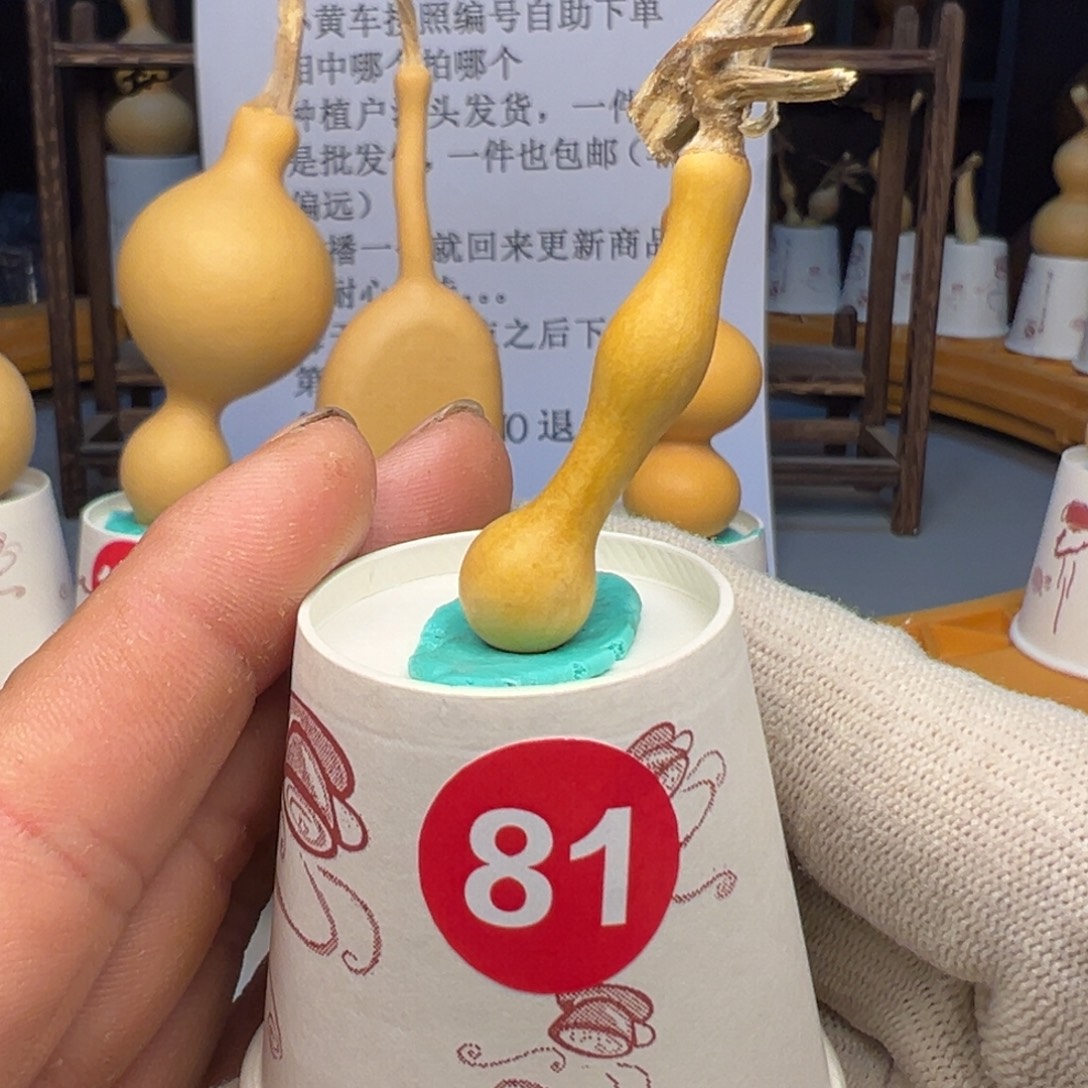 闪电购自助下单编号81