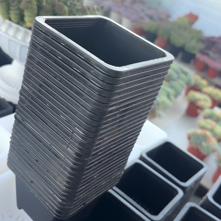 海***风100黑方高7公分10个