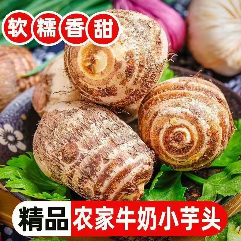 云南牛奶小芋头煲汤炖煮粉糯奶香甜味细腻嫩滑新鲜芋艿毛芋头仔