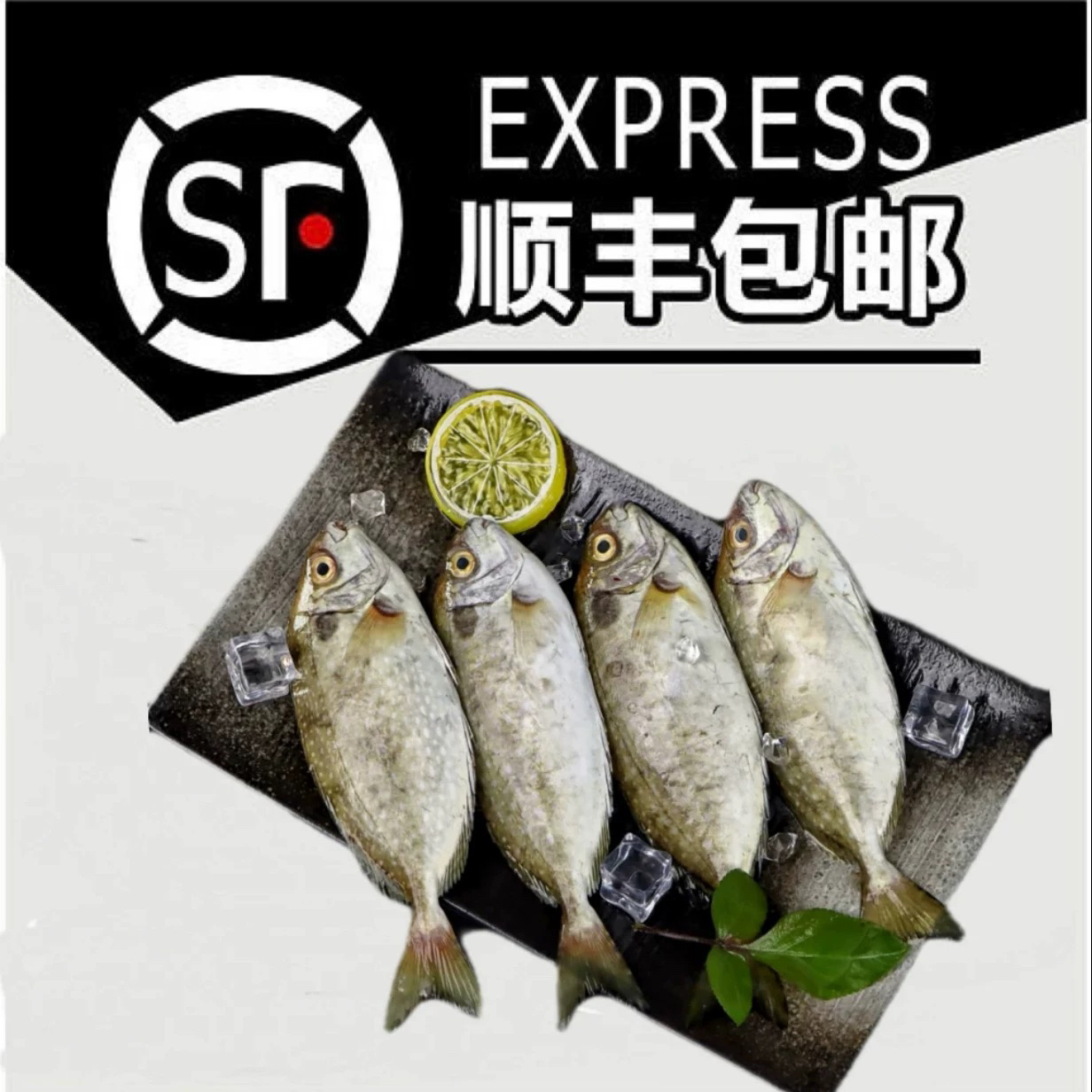 神泉本港野生照灯泥猛鱼鲜活速冻处理干净3-4条400克一包发5包