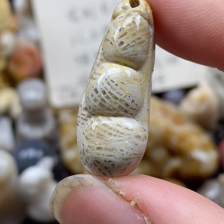 颈饰未镶嵌硅化珊瑚（珊瑚玉）小