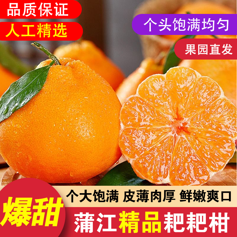 四川正宗耙耙柑春见新鲜水果带叶发货多汁爽口