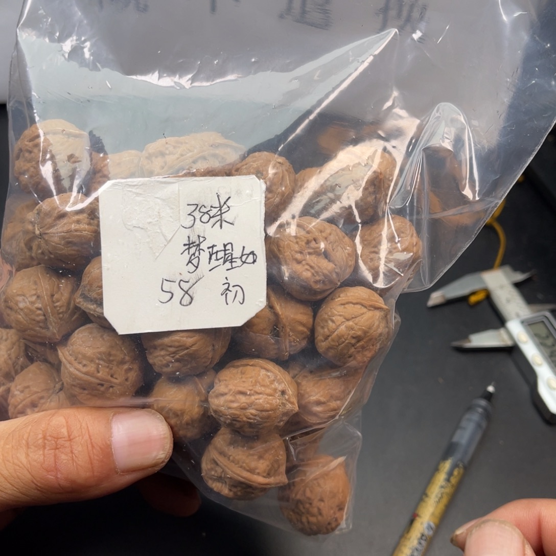 梦***.野生小核桃58克38