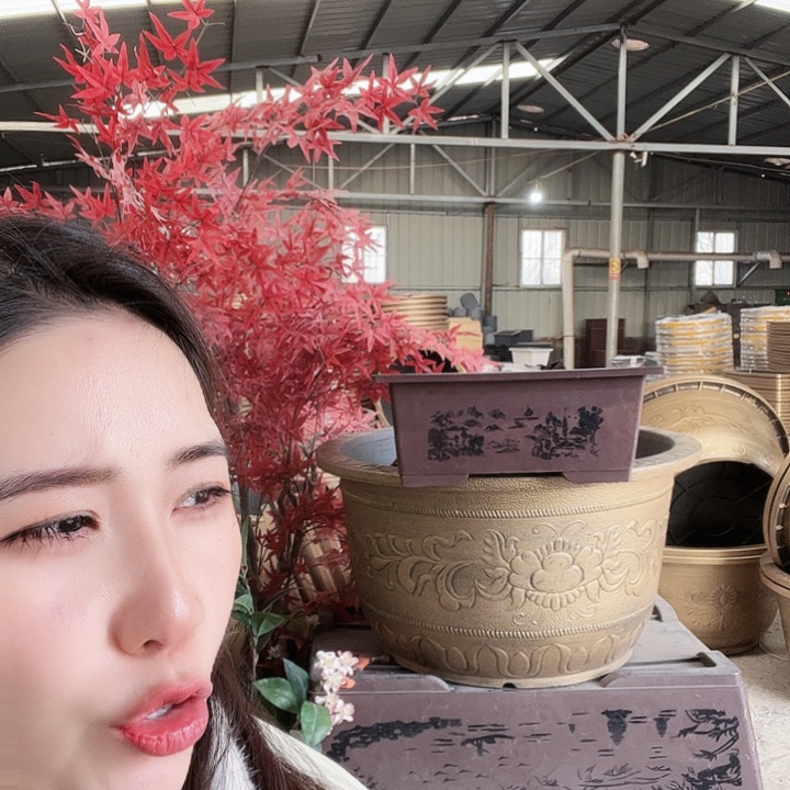 盆景盆50口径花盆两个