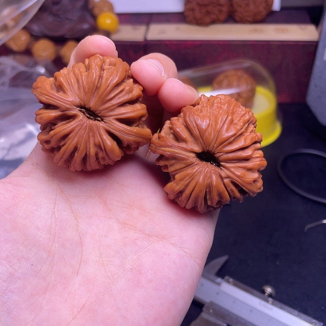 撁***陽桃核吊坠楼子福利