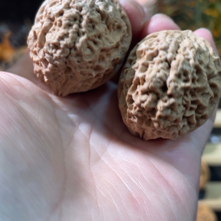 文玩核桃把件编号99