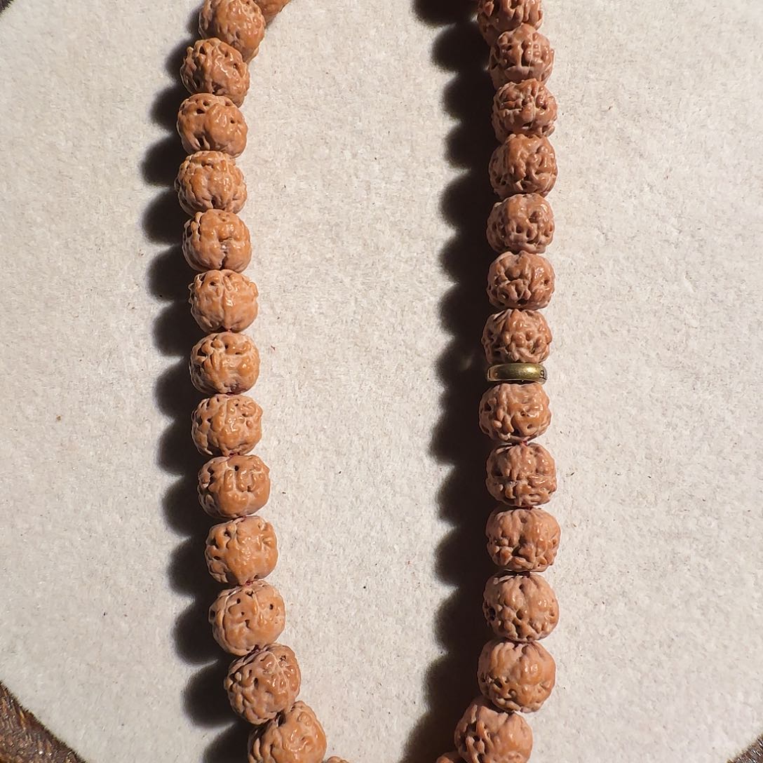 金刚菩提手串佛手原桩单圈